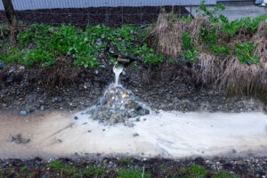 Polluted storm water run-off from an industrial site going straight into a drainage ditch, Motueka, New Zealand.